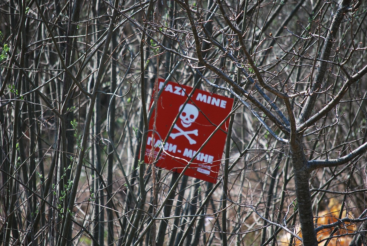 Mögliche Minenexplosion bei Räumarbeiten in der entmilitarisierten Zone