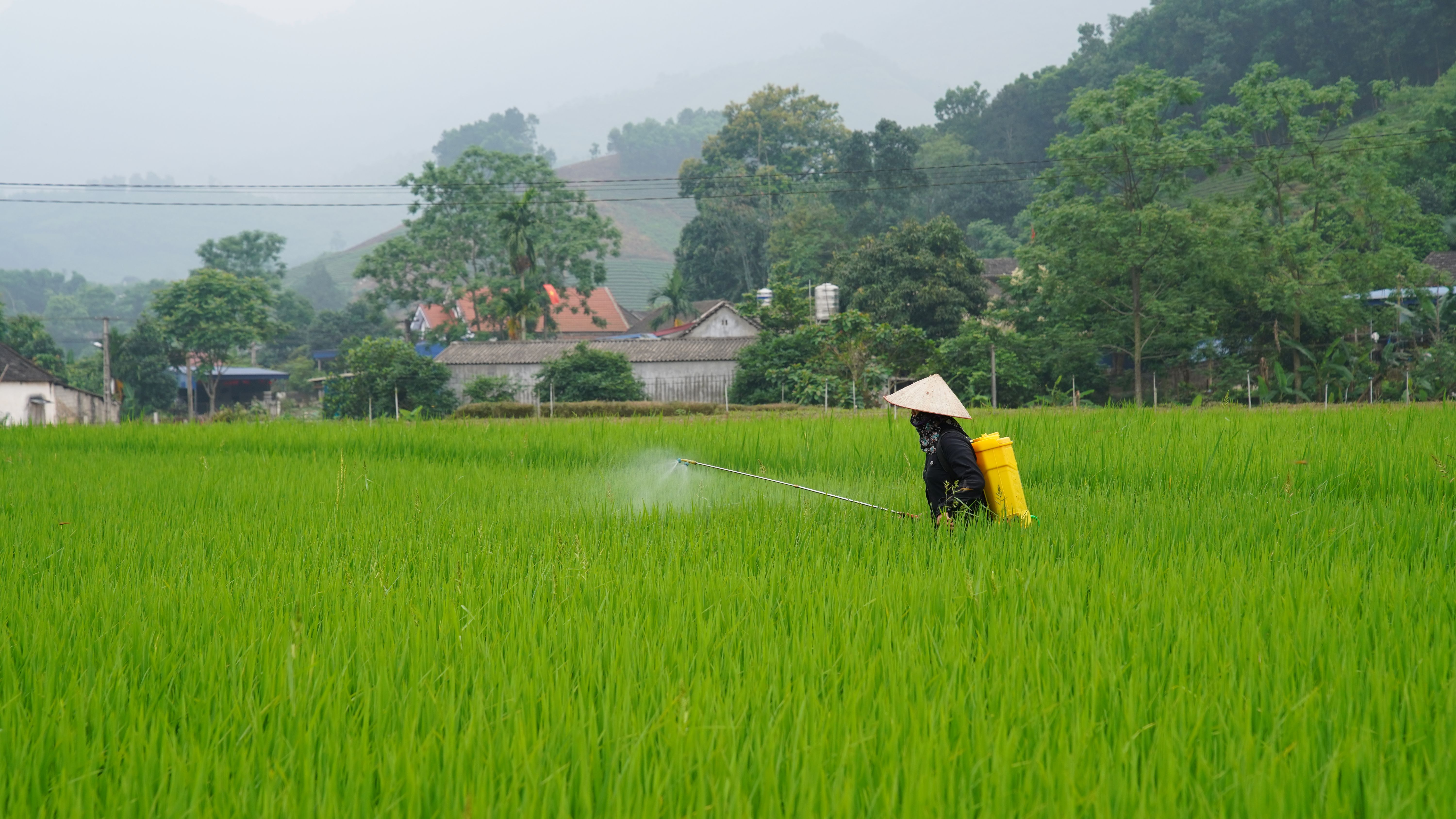 PFAS im Grundwasser: Pestizide als mögliche Quelle im Fokus