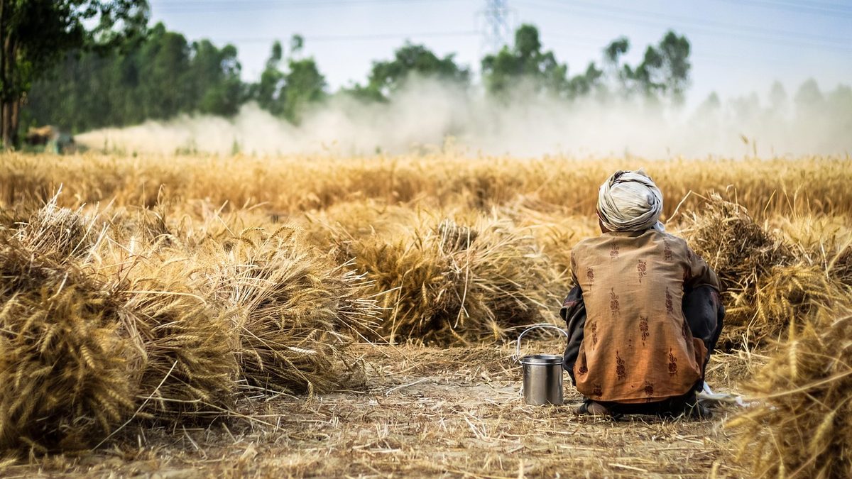 El Niño stellt globale Ernährungssicherheit auf die Probe