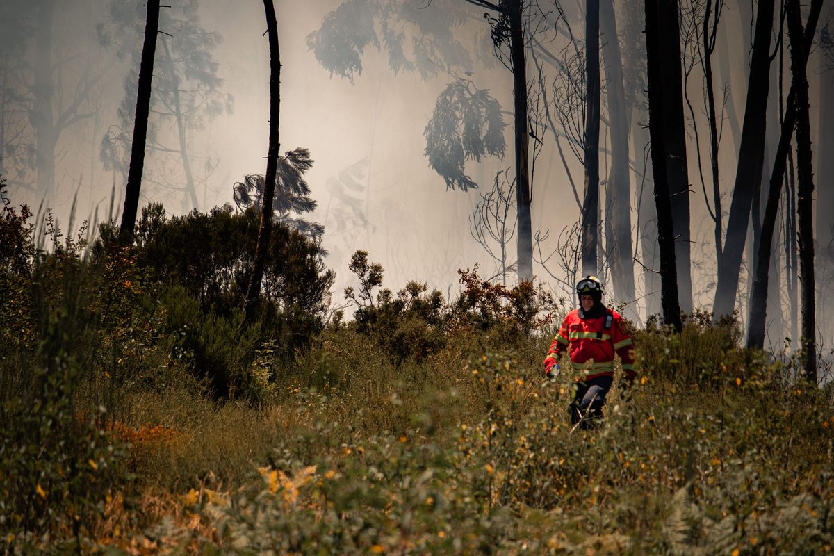 Österreichs Feuerwehren fordern mehr Unterstützung gegen Waldbrände
