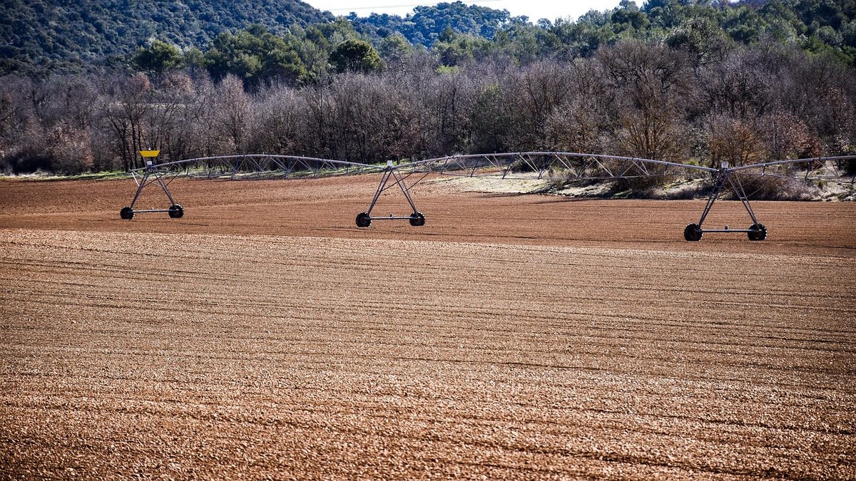 UN-Plan soll private Investitionen für Sudans Landwirtschaft mobilisieren