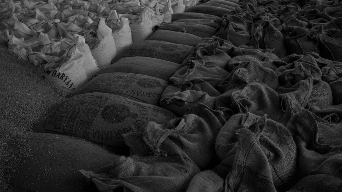 Getreidemärkte warten nach Zollsenkungen auf Chinas Käufe