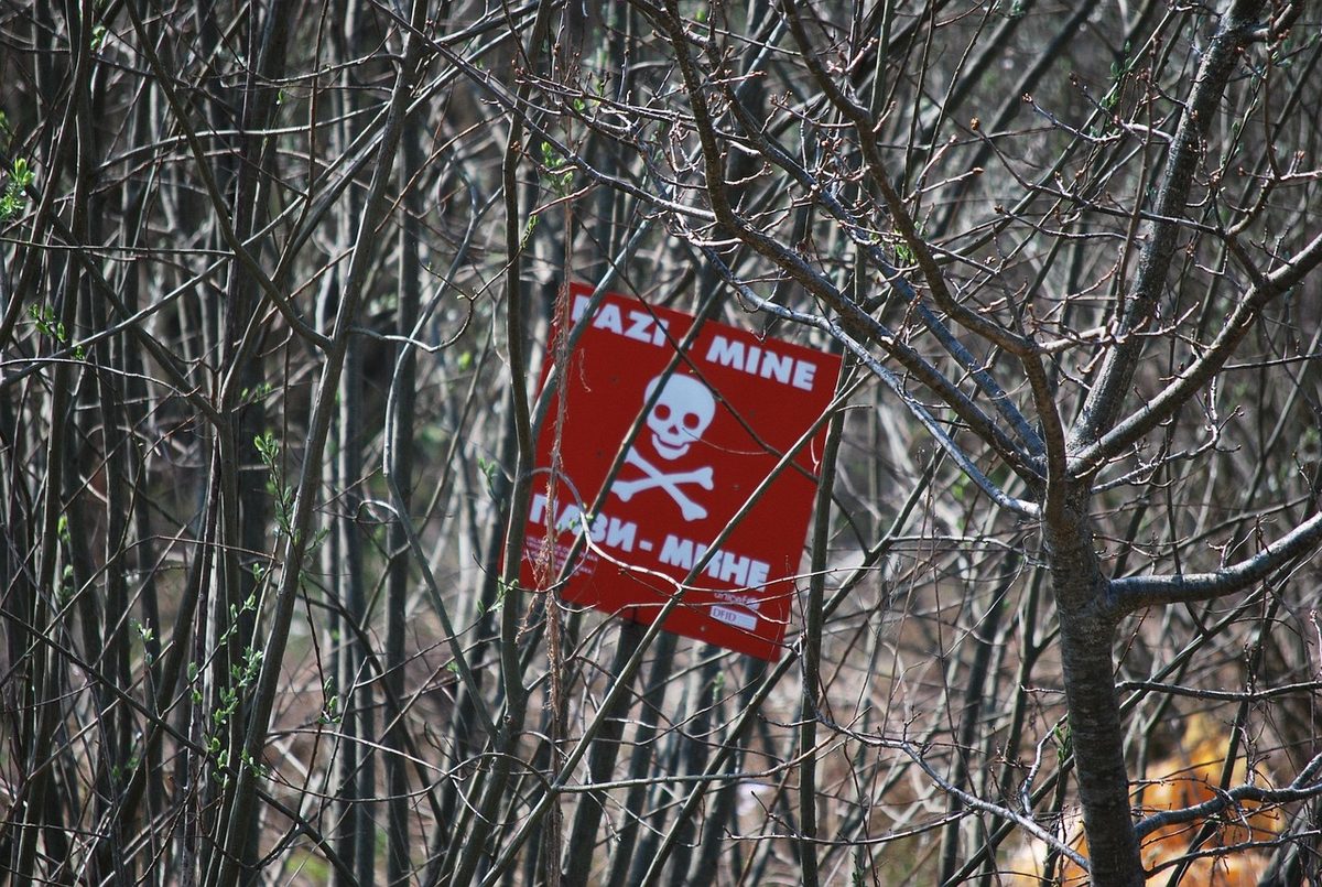 Südkoreanisches Militär sieht nordkoreanische Minen als wahrscheinliche Ursache für Explosion in der DMZ