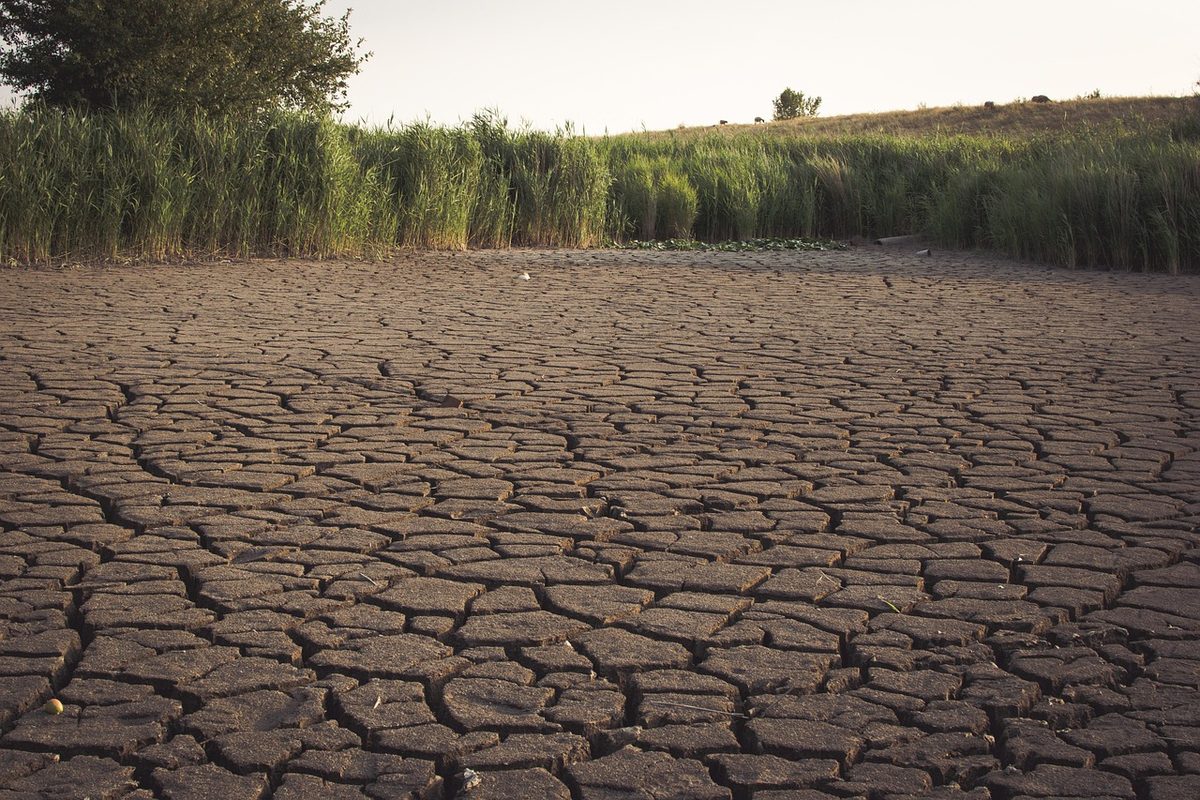 Starker El Niño verschärft Wassermangel und Ernährungsrisiken in Papua-Neuguinea