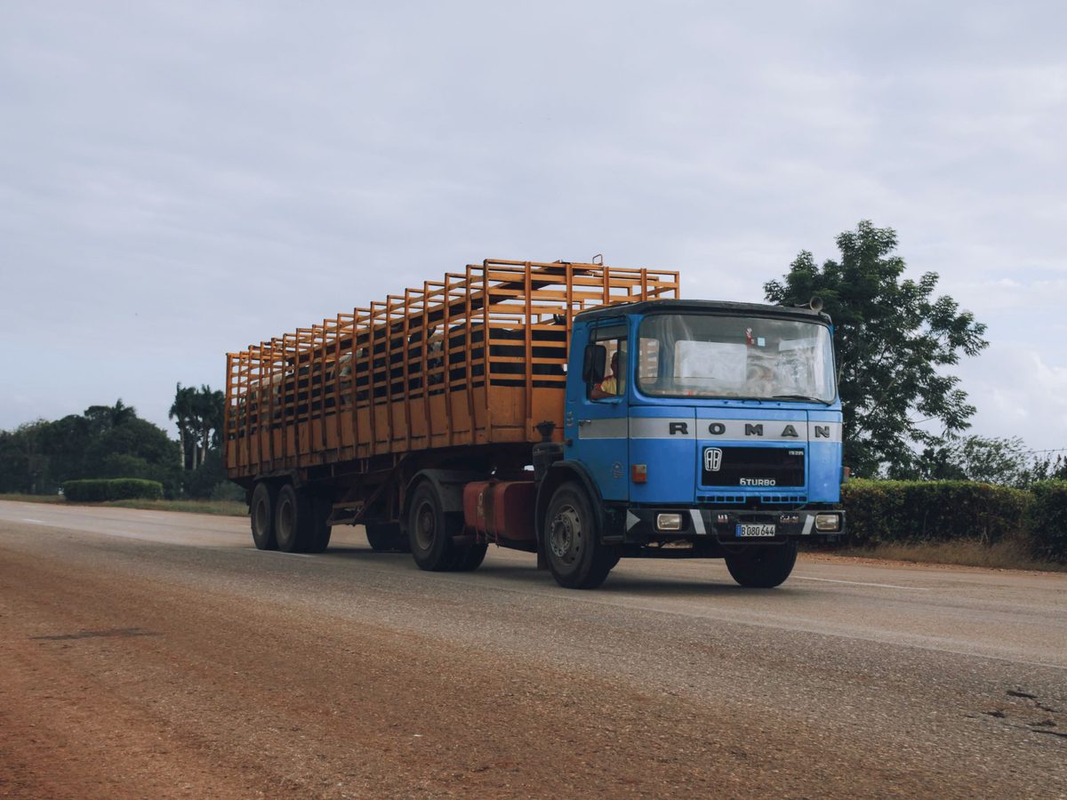 Luzon verschärft Regeln für Schweinetransporte wegen Afrikanischer Schweinepest