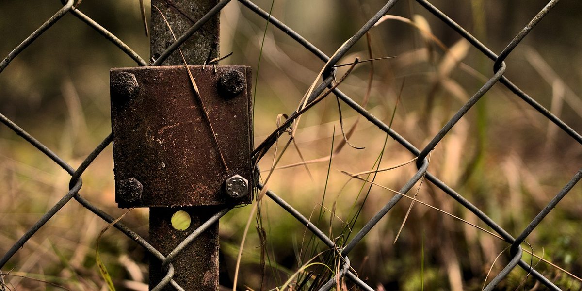 Bewaffnete Männer versuchen Übertritt von Belarus nach Lettland