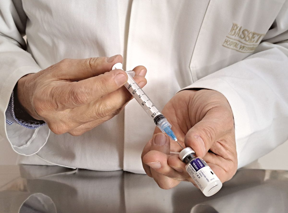 Umstrittener Hepatitis-B-Impfversuch in Guinea-Bissau genehmigt