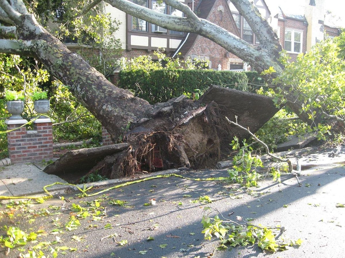 Tornados verletzen Dutzende Menschen auf Sizilien