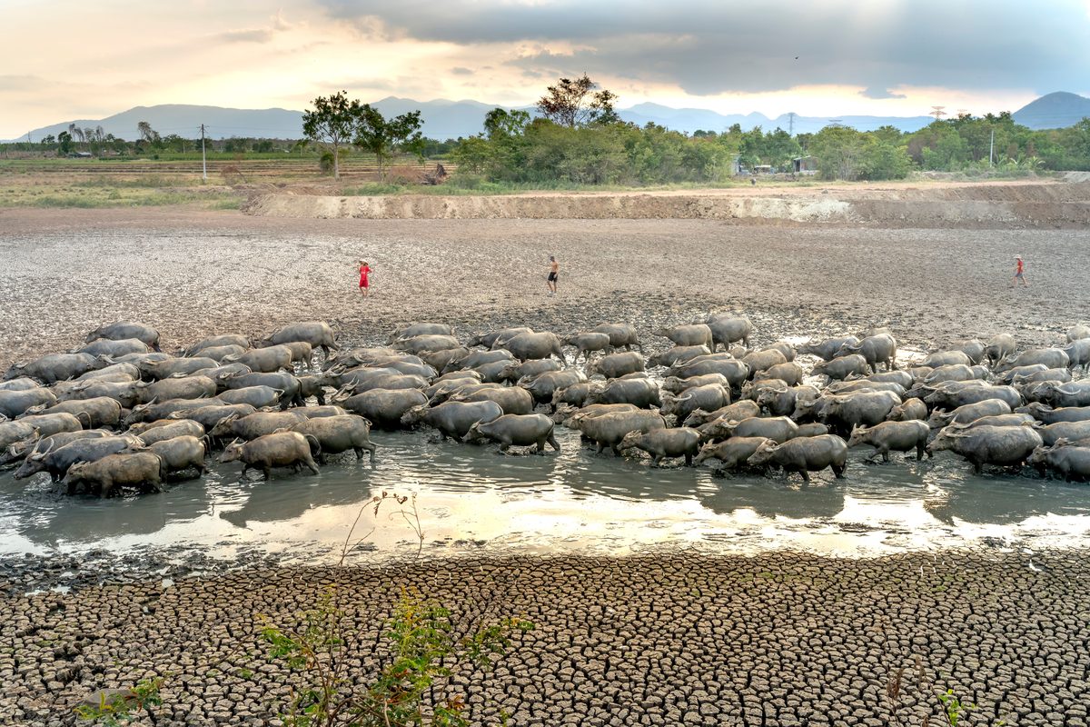 El Niño verschärft Sorgen um Somalias Ernährungssicherheit