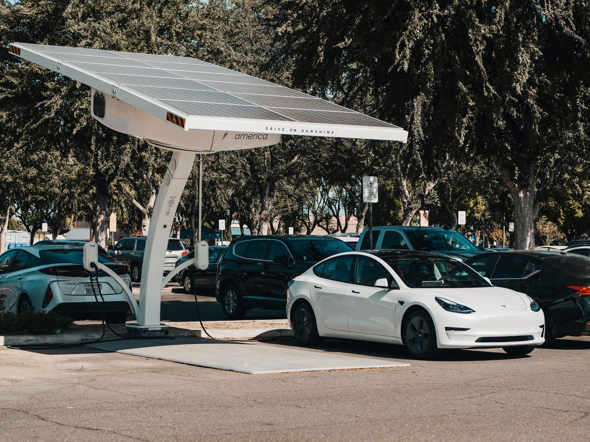 Studie verknüpft AfD-Zustimmung mit weniger E-Autos und Solaranlagen