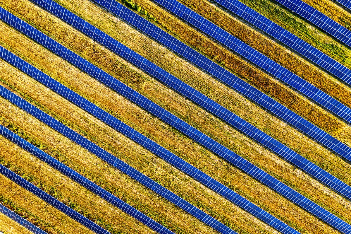 Peking zieht Exportbremse für KI-, Solar- und Biotechnik an