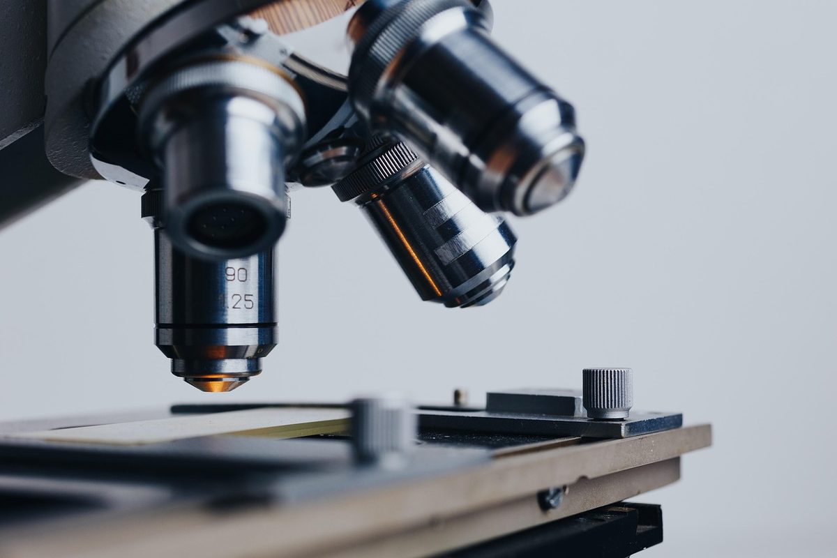 Bochumer Forscher testen Chemotherapie an gezüchtetem Tumorgewebe
