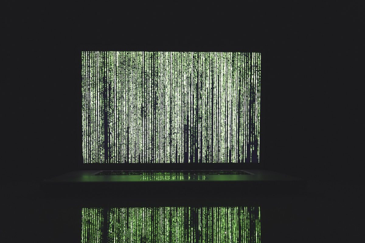 Hacker veröffentlichen Hunderttausende E-Mails und Dokumente der AfD