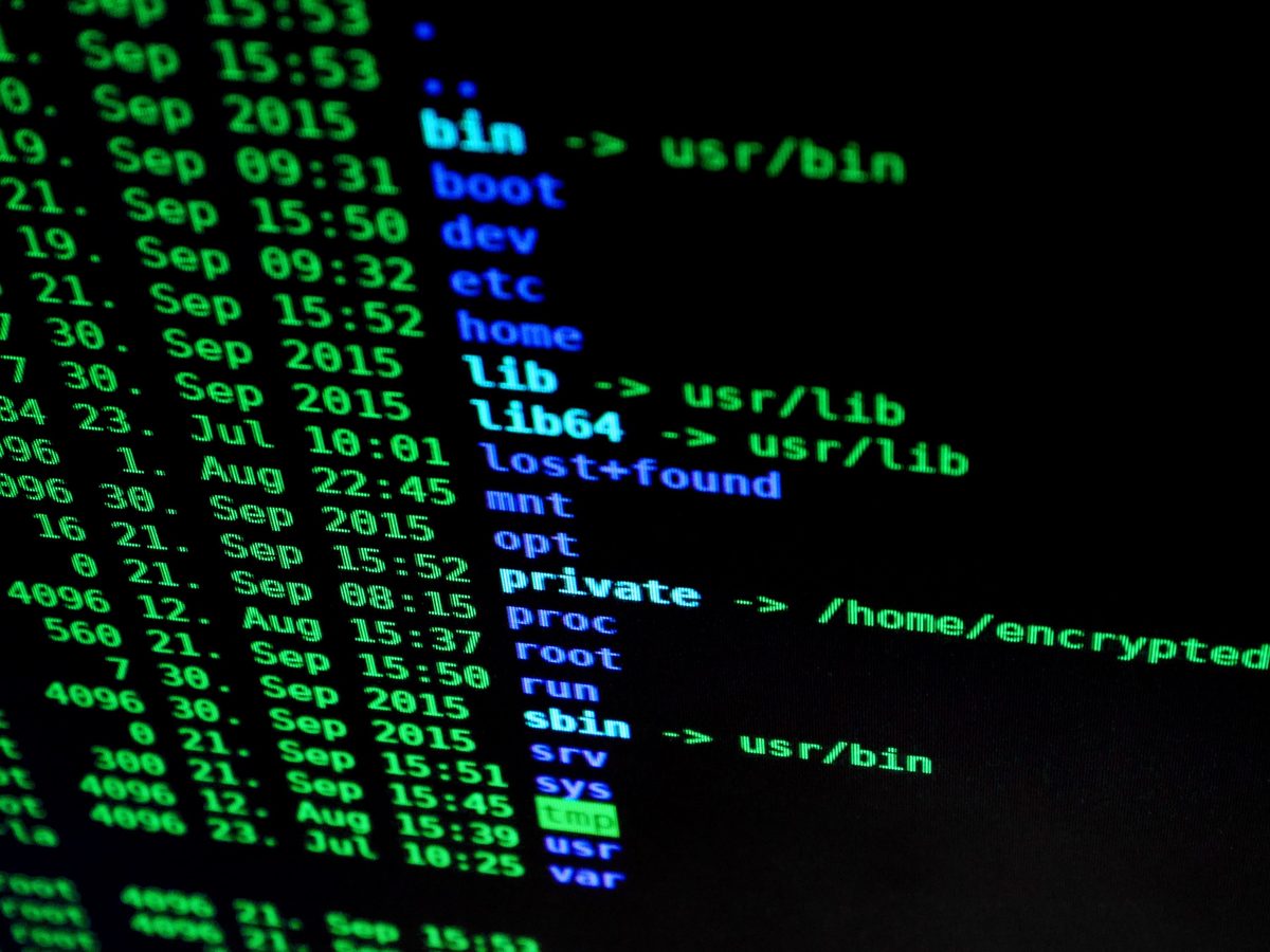 Gehackte AfD-Daten zeigen Weidels früheren Kurs gegenüber Höcke