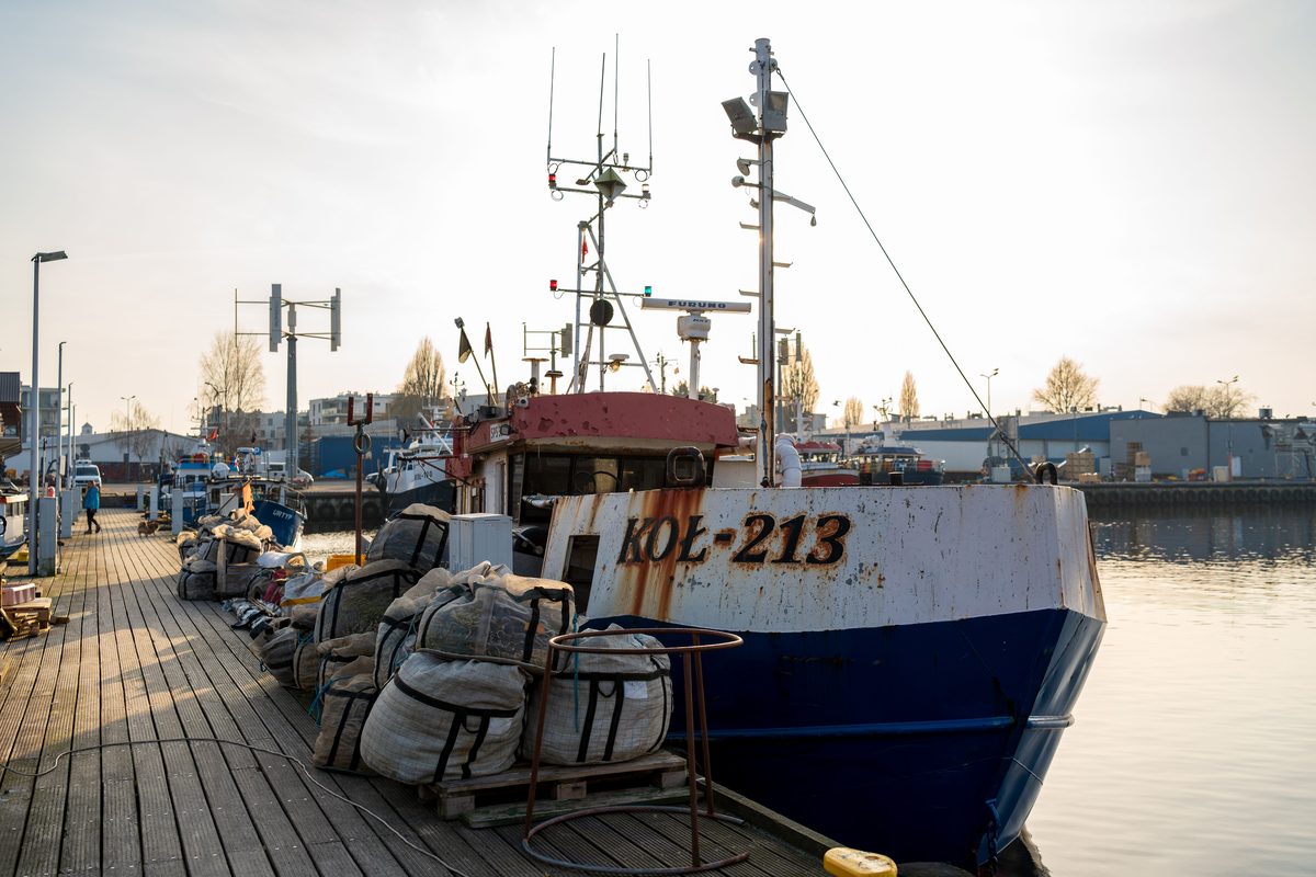 EU-Kommission will Ausnahmen für Heringsfischerei in der Ostsee streichen