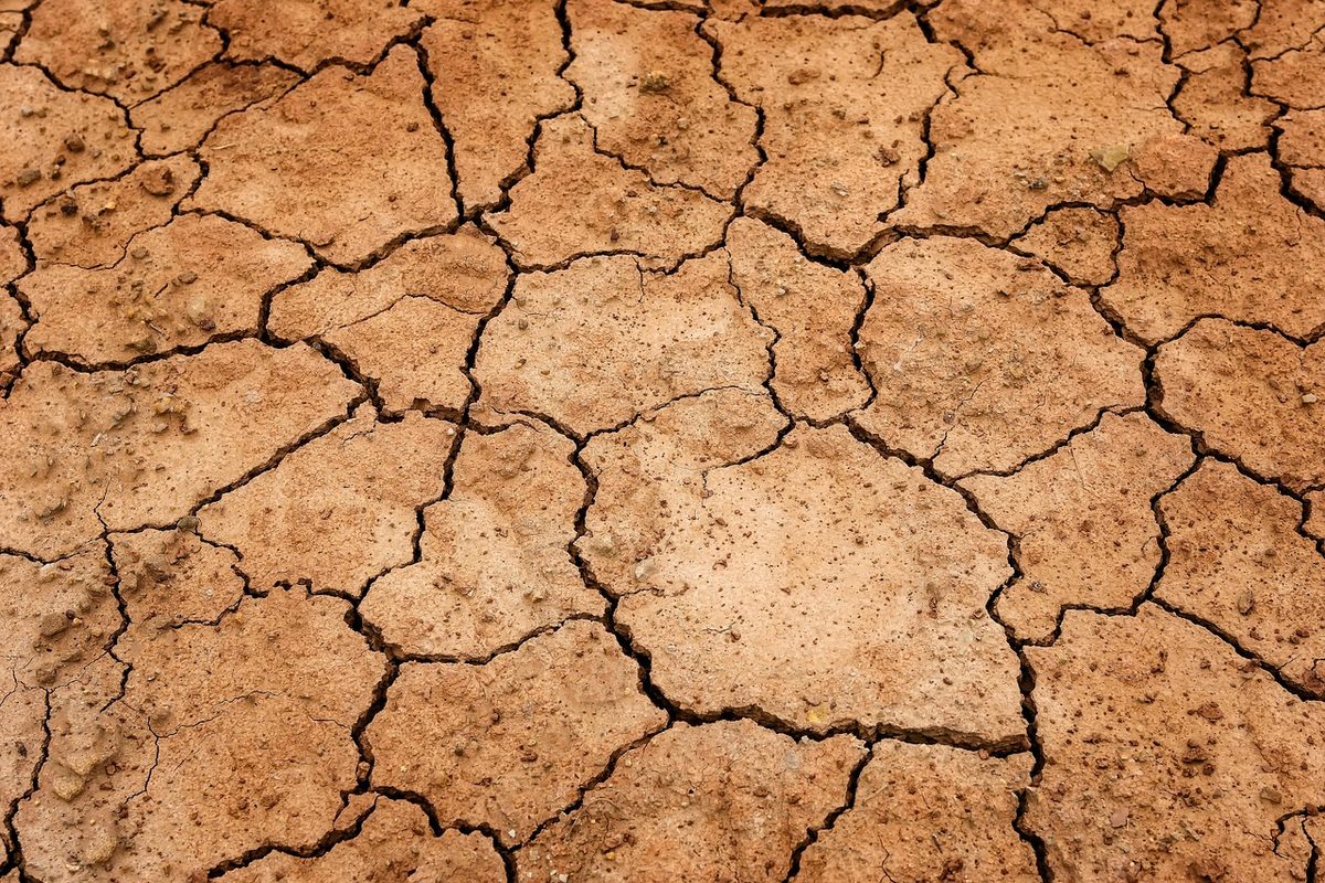 El-Niño-Dürre in Papua-Neuguinea: Flüsse trocknen aus, Felder verdorren